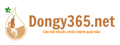 Dongy365.net