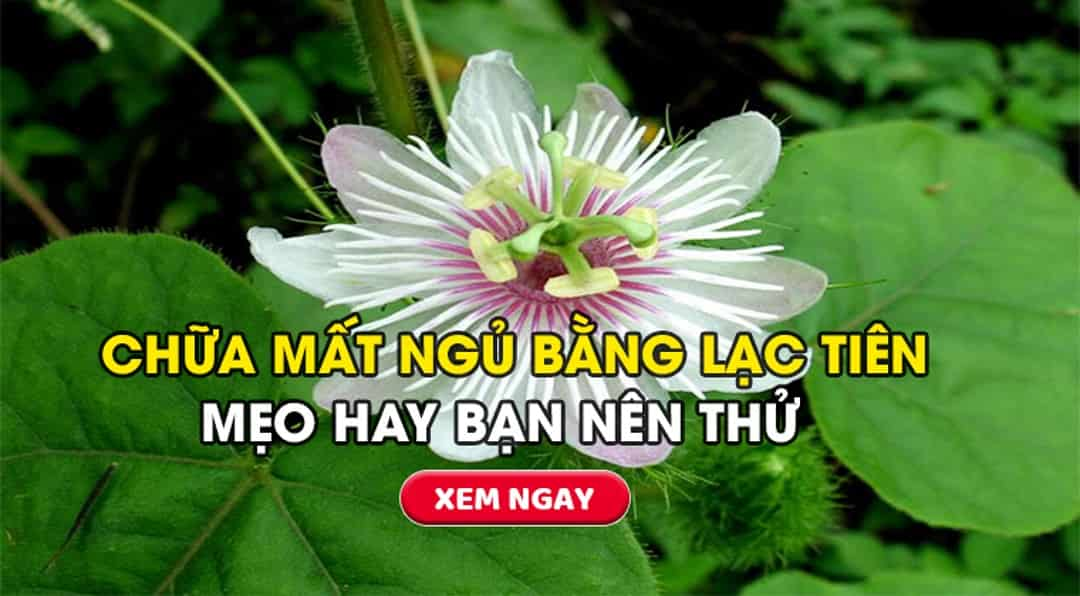 Lạc tiên sử dụng làm bài thuốc chữa mất ngủ