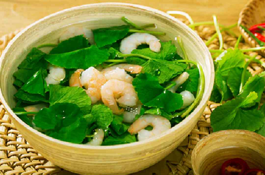 Canh Tích tuyết thảo rất được ưa chuộng trong ngày hè