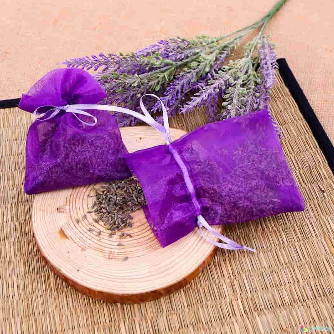 Công dụng của Lavender tốt cho sức khỏe của bạn