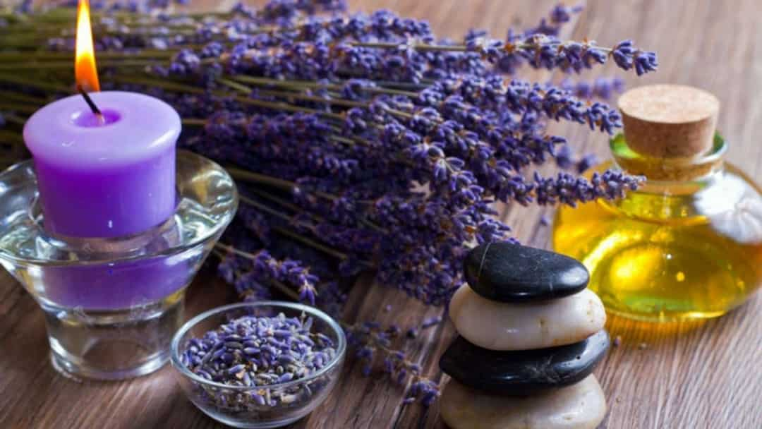 Công dụng của Lavender là giảm đau hậu cắt amidan ở trẻ em