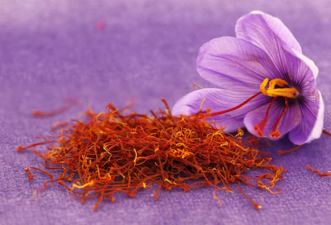 Phân loại saffron như thế nào?