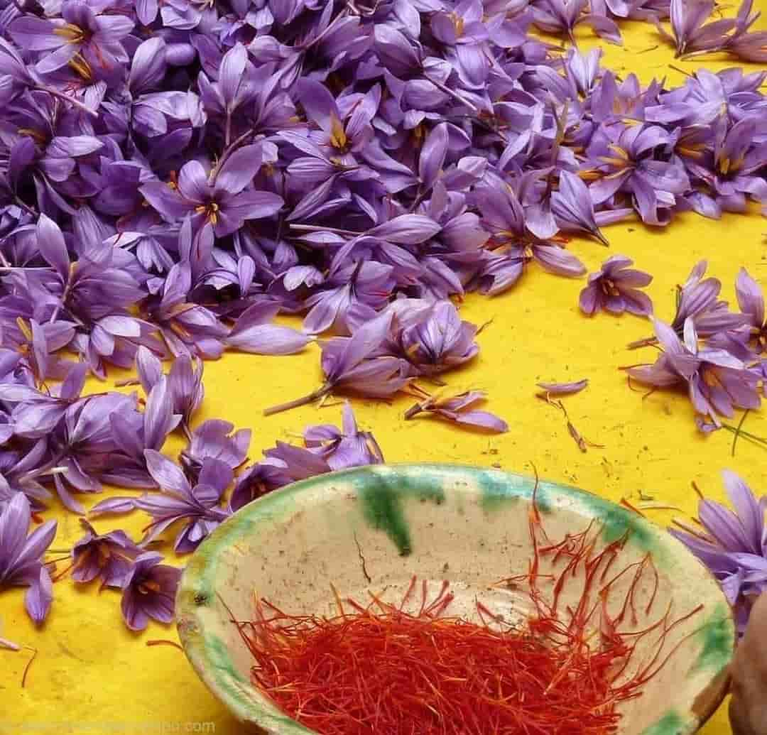 Chúng ta chỉ nên sử dụng saffron tối đa 6 tuần