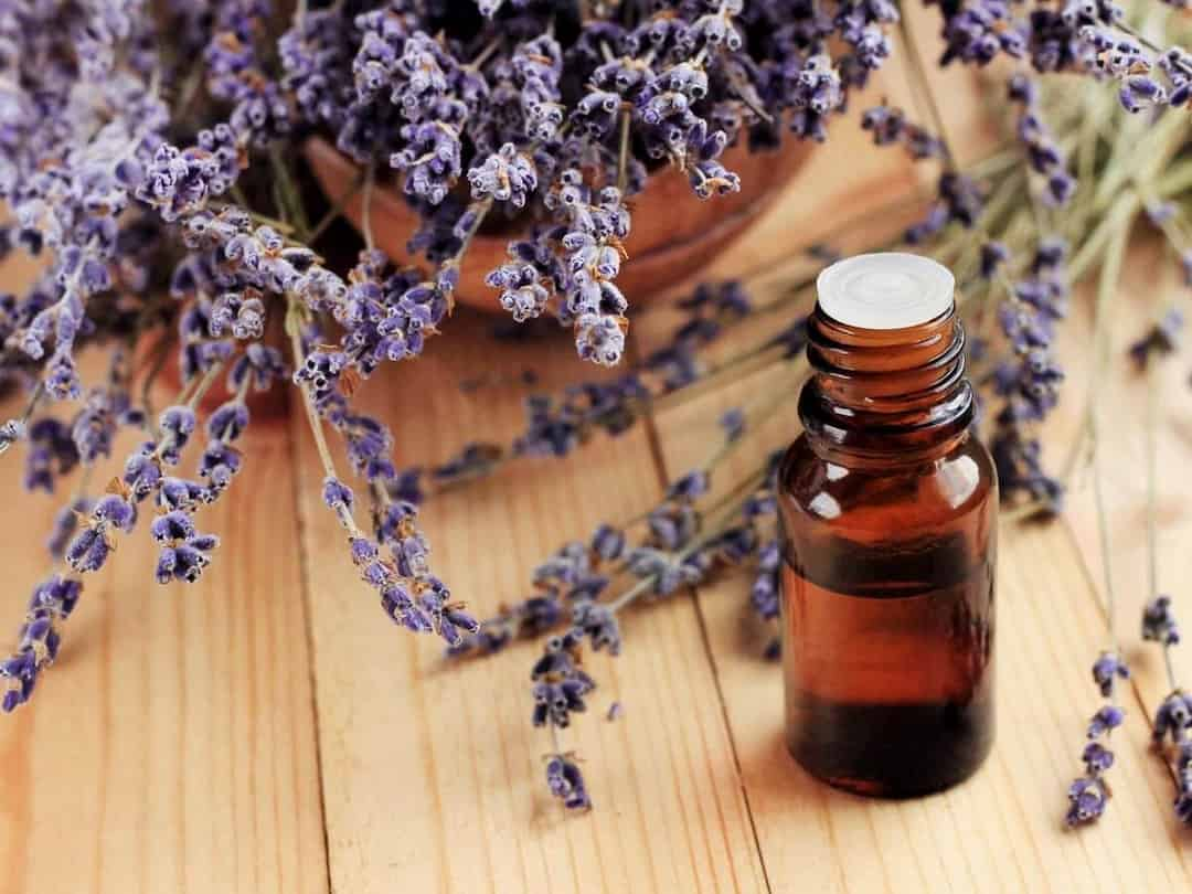 Cách sử dụng Lavender cho da và mặt